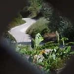 Mirovigli
